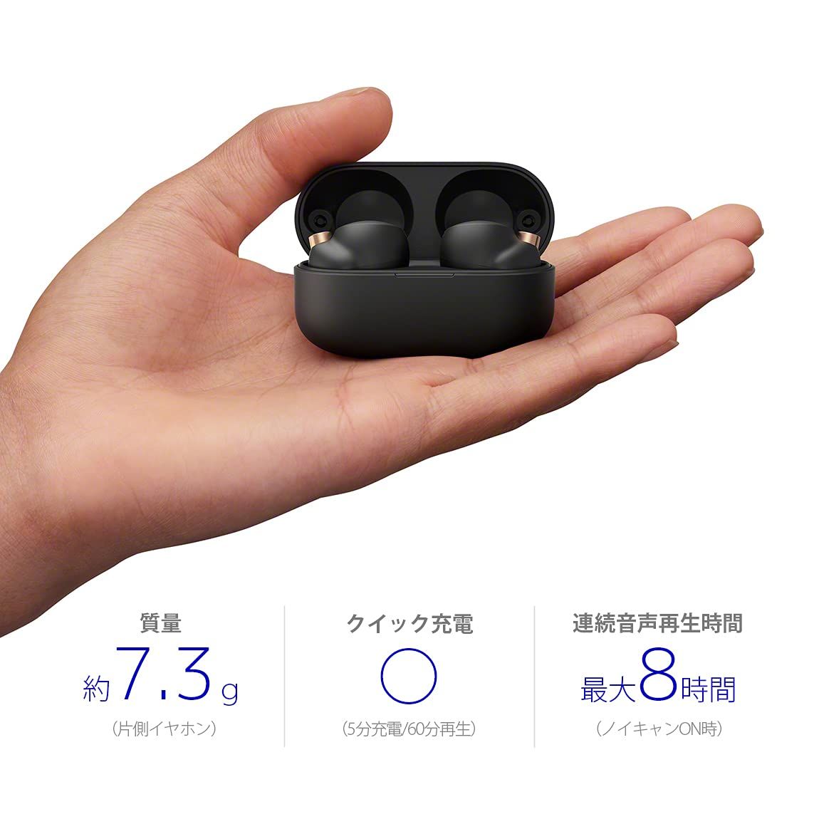 ソニー ワイヤレスノイズキャンセリングイヤホン