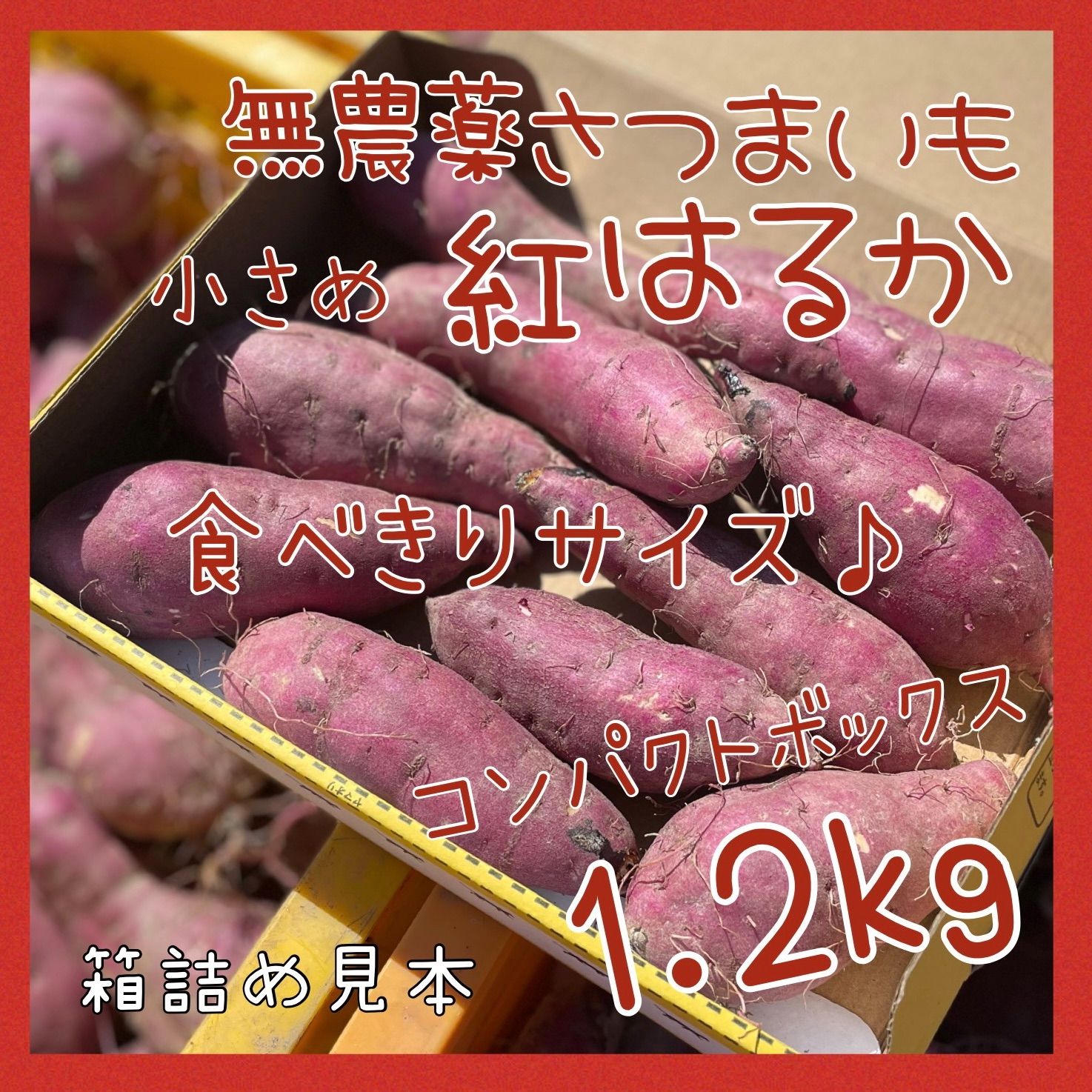 紅はるかコンパクトサイズ - 野菜