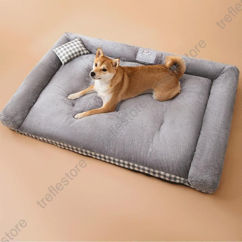 中大型犬