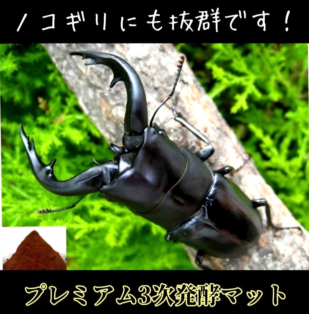 特大サイズ1500mlクリアボトル入り プレミアム3次発酵マット【2本