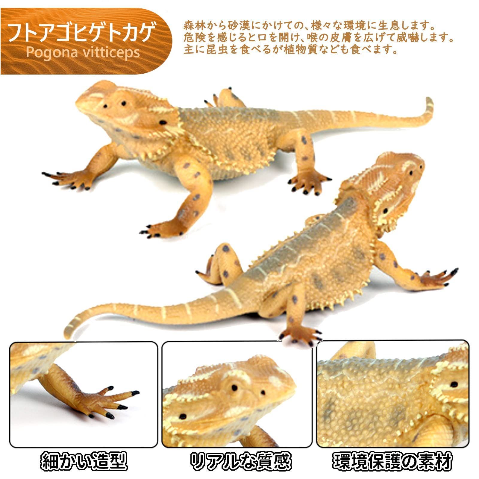 新品 フィギュア フトアゴヒゲトカゲ フィギュア 爬虫類 コモド