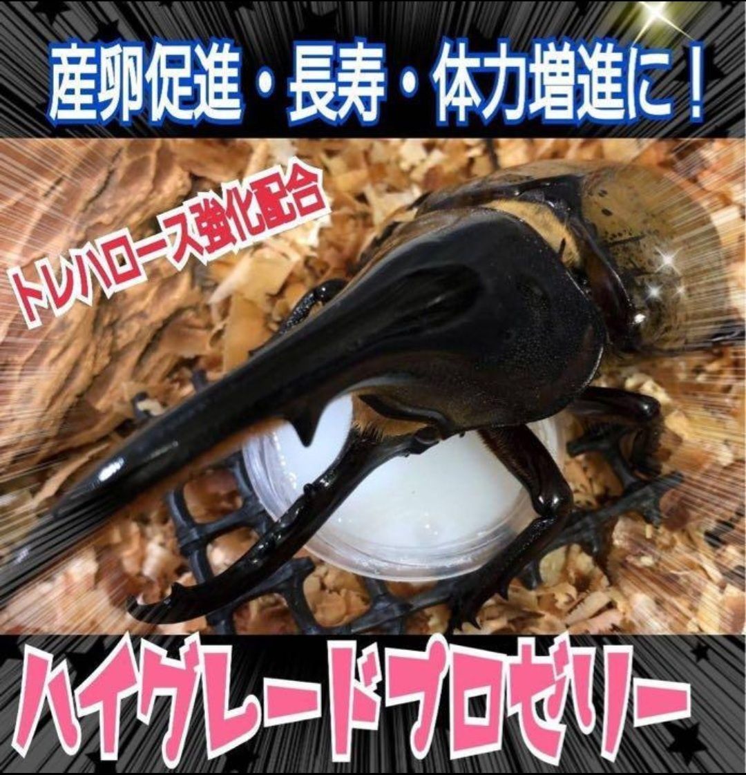 産卵促進 長寿に抜群