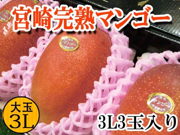 宮崎完熟マンゴー 3L3玉 送料無料 - メルカリ
