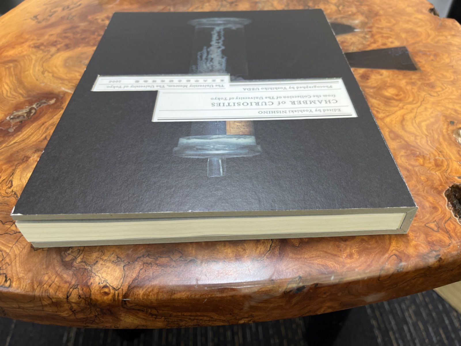 CHAMBER of CURIOSITIES - from the Collection of The University of