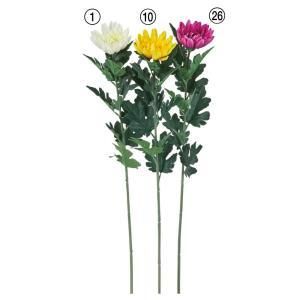 【新品・3営業日で発送】ASCA アスカ マム(M) (A-35245-001)【入数:12】