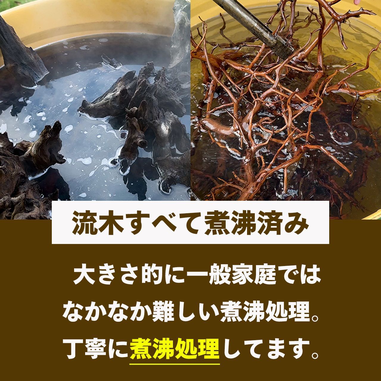 深い森を思わせる深淵の造形