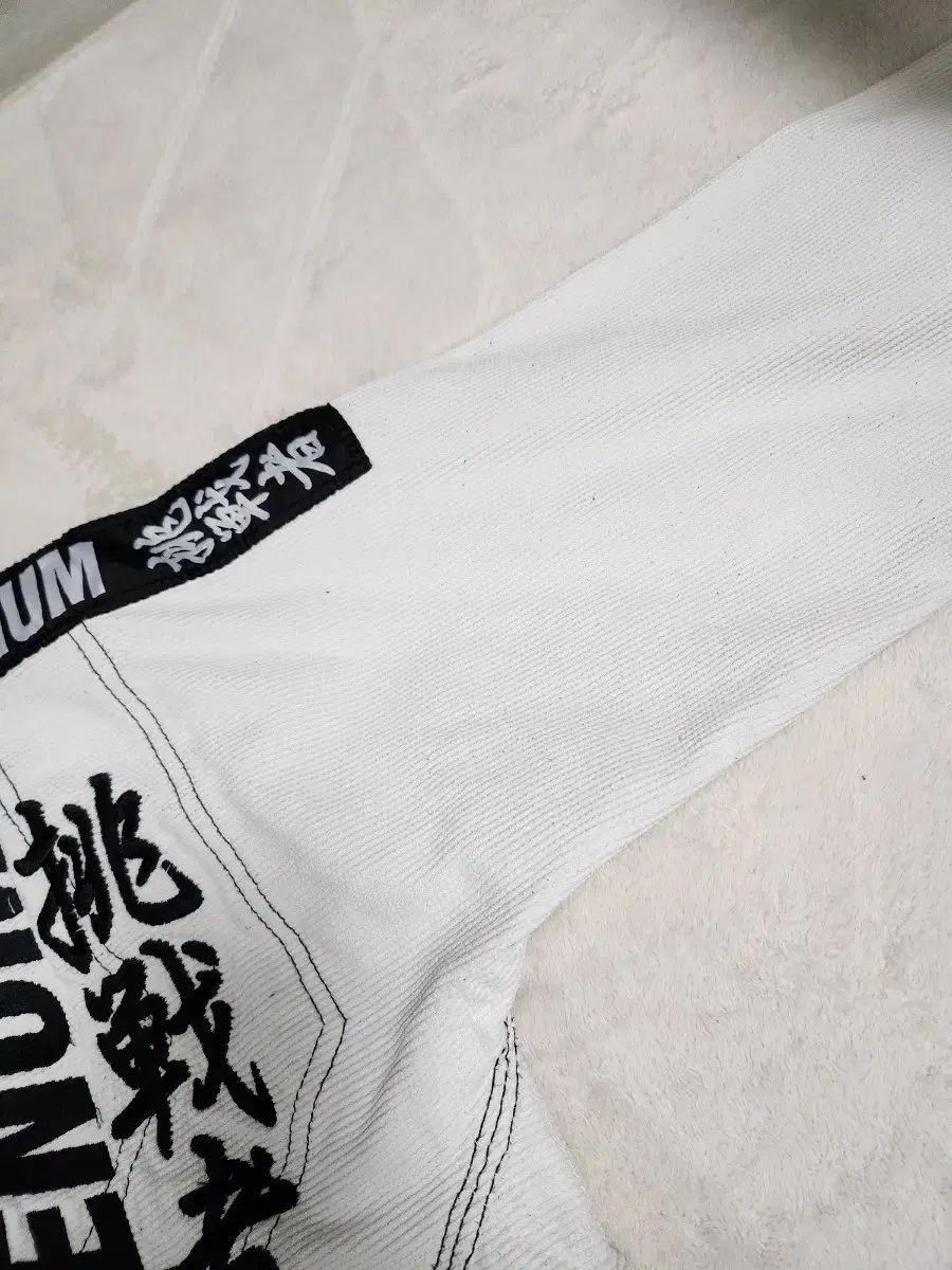 挑戦者 柔術