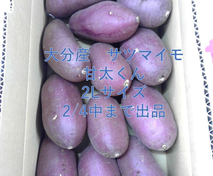 ☆しっとり甘い☆大分県産 サツマイモ 甘太くん 2Lサイズ 等級A 5kg