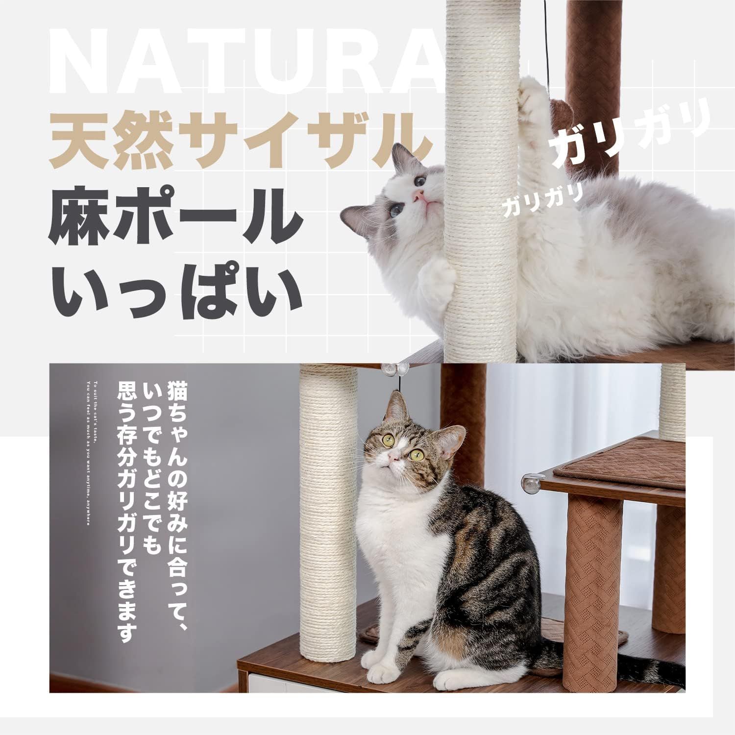 ぺテぺラ