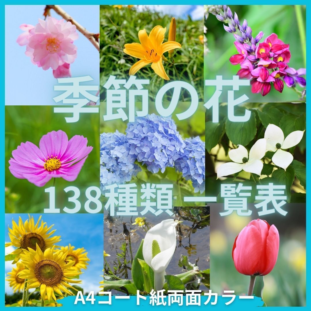 季節の花一覧表 A4光沢紙 両面カラー プレゼントに - メルカリ