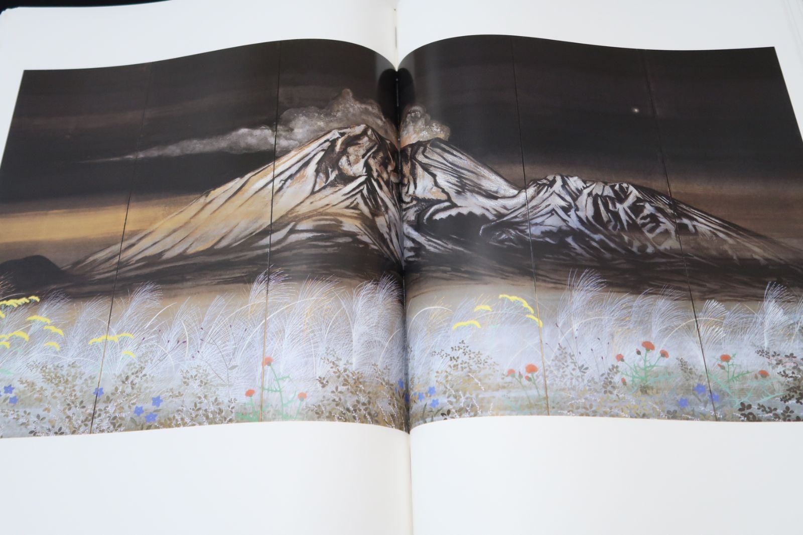 加山又造屏風絵集成|定価120000円|幼いときから大画面を創ることに限りなく憧れを持ちつづけて来た私の素朴な喜びを今更のように感じます