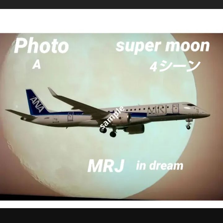 MRJ/ANA スーパームーン 航空機 模型 空カメ