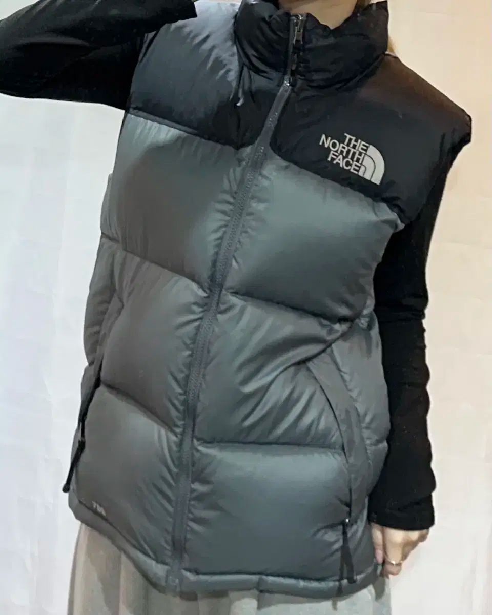 THE NORTH FACE ザノースフェイス グレー ブラック バイ 700 ヌプシ ダウンベスト