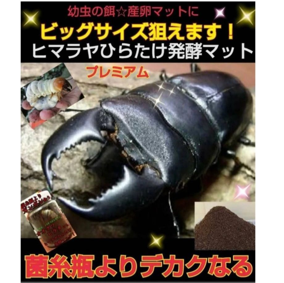 ミヤマクワガタ、ノコギリ幼虫に抜群！800mlボトル入プレミアム発酵