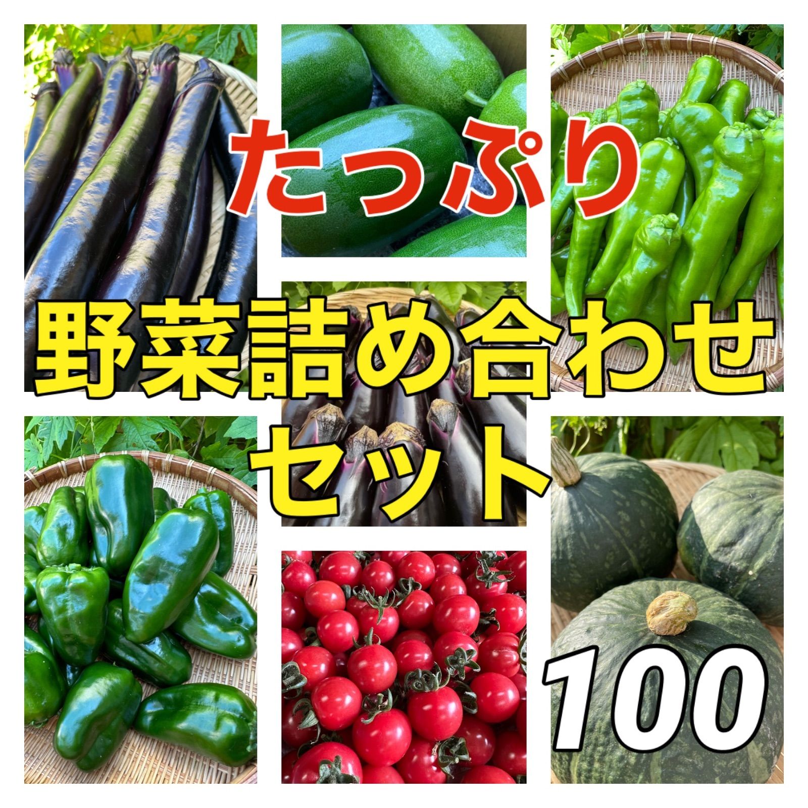 ツヤツヤの採りたて新鮮‼️野菜詰め合わせセット‼️たっぷり１００