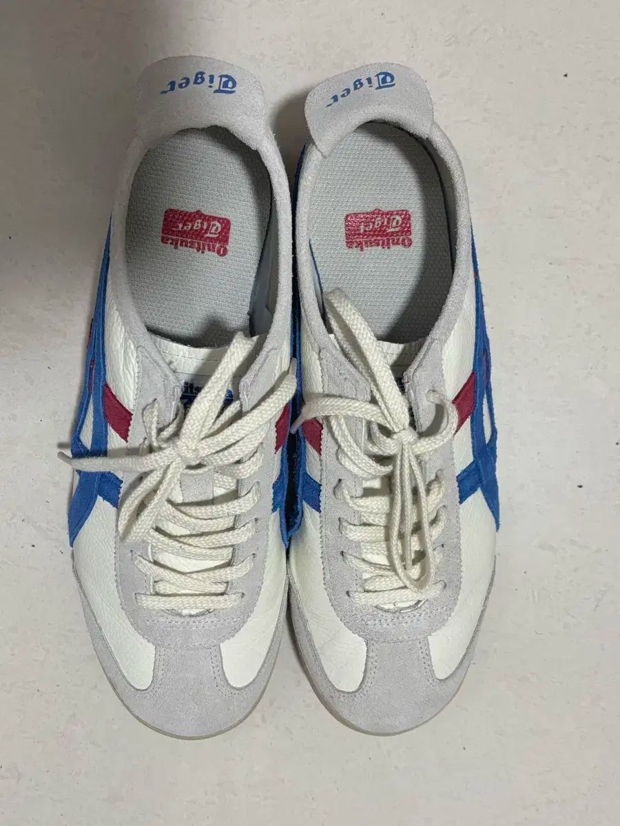 66 ヴィンテージ