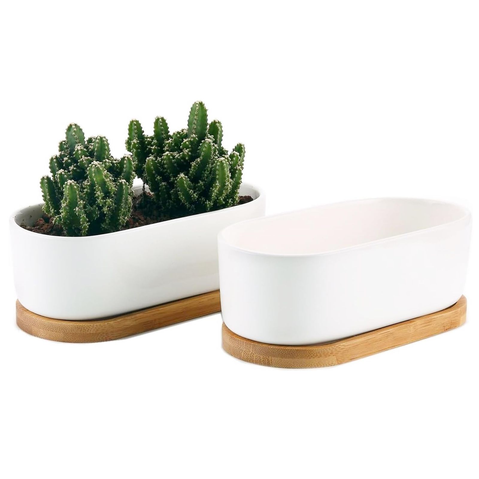 植木鉢 2個セット 多肉植物鉢 陶器鉢 多肉植物ポット 楕円形サボテン鉢