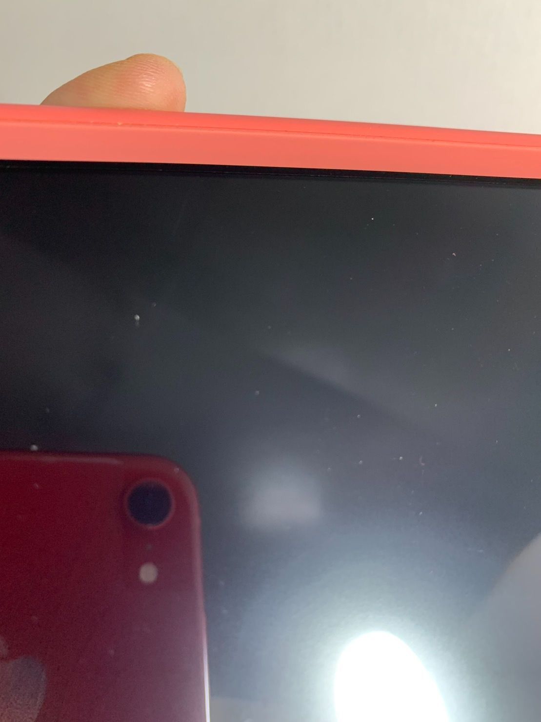 コーラル 併売品