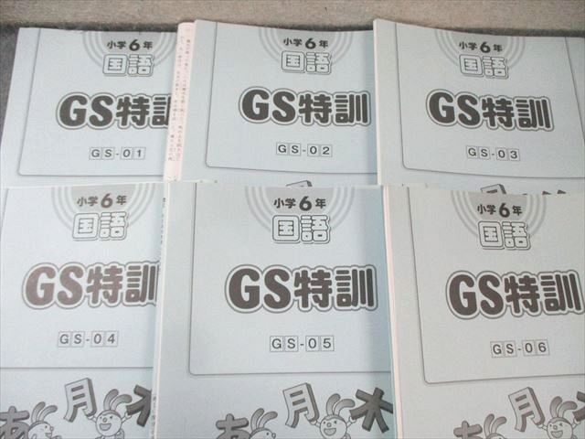 SAPIX 小6 サピックス GS特訓 国語 通年セット 【計6回分】 2019 025S2D SAPIX 小6 サピックス GS特訓 国語 通年セット 【計6回分】 2019