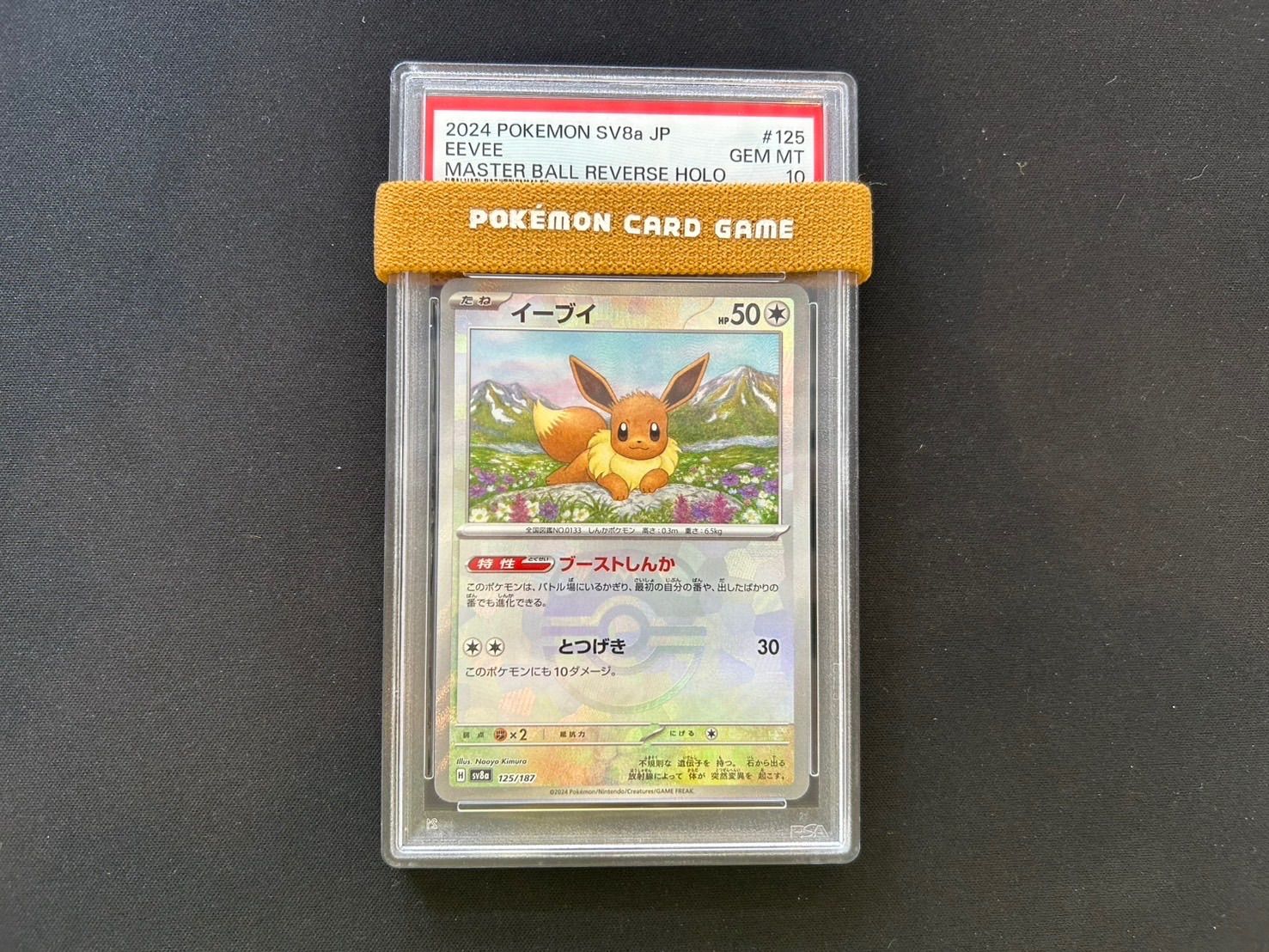 イーブイ マスターボールミラー 125/187 PSA10 【公式通販】