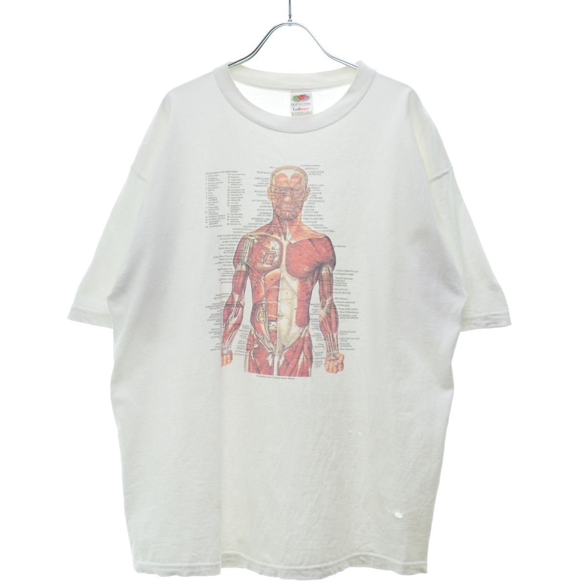 90s 激レア anatomical chart tシャツ 目玉 古着】90s～ anatomical chart アナトミカルチャート 骨格標本半袖T