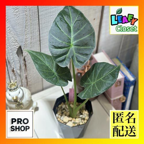 ジッツェンドフルフ 陶器製 少女フィギュリン ピンクドレス 7体セット