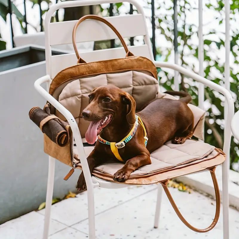 犬用