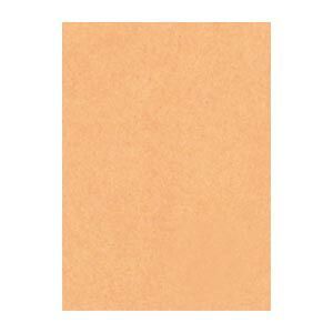 リンテック ニューカラーＲ 4 NCR-109 うすちゃ