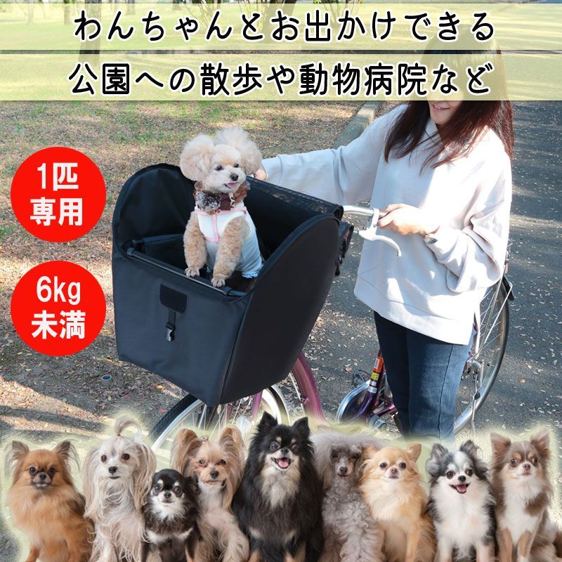 ペット 小型犬