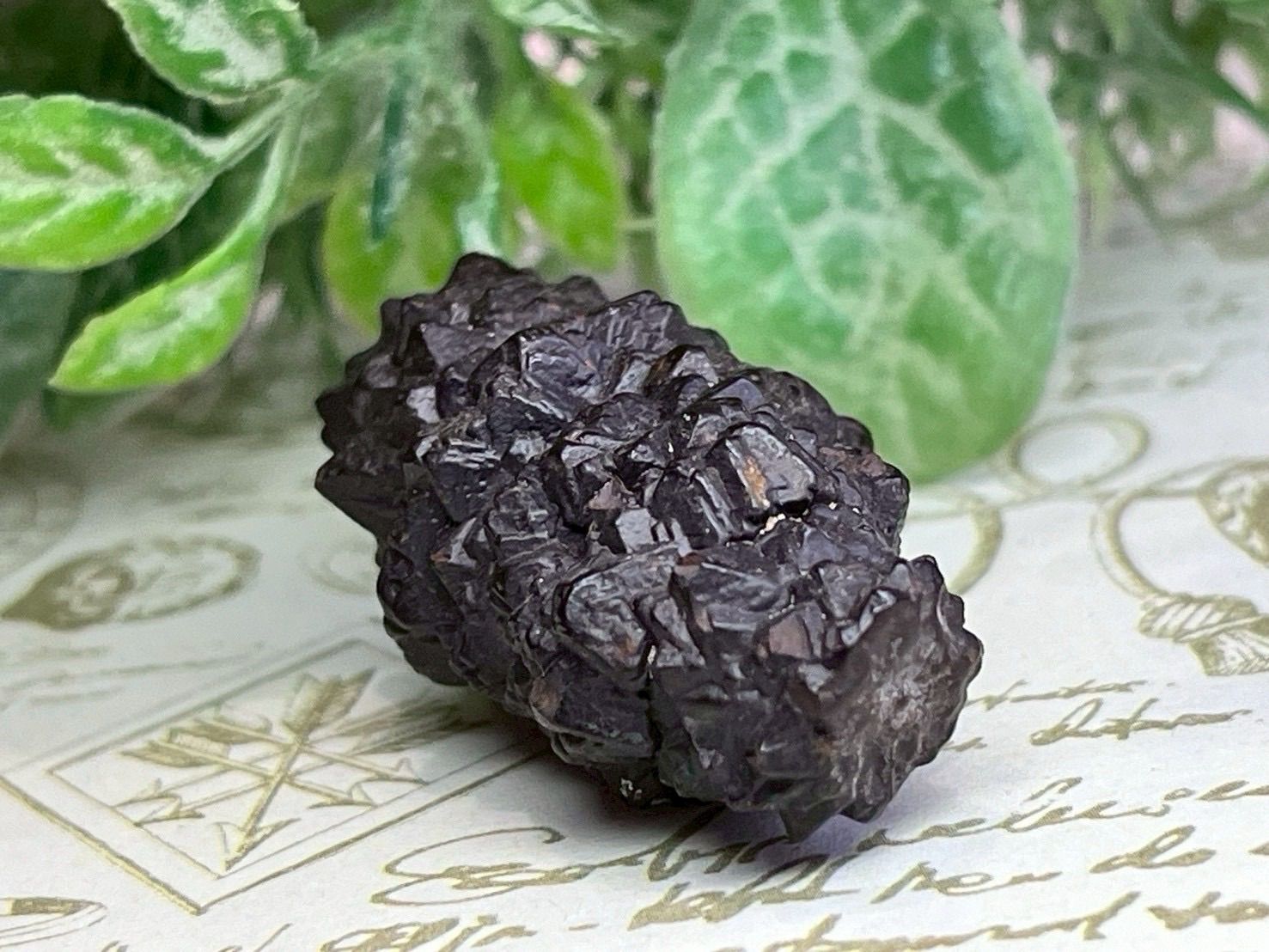 プロフェシーストーン