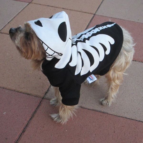 犬服 ハロウィン 骨パーカー ドッグウェア ドクロ 骸骨 - メルカリ