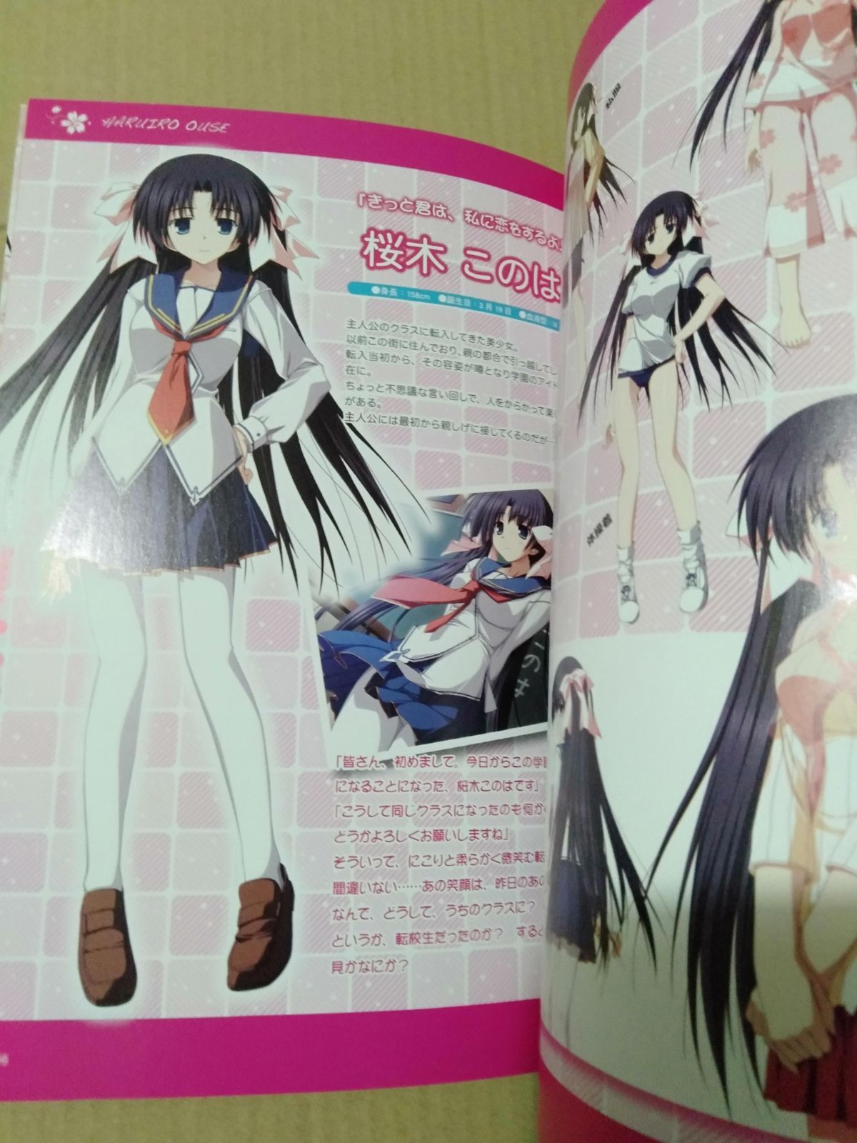 テックジャイアン 春色桜瀬 B2 両面ポスター - メルカリ