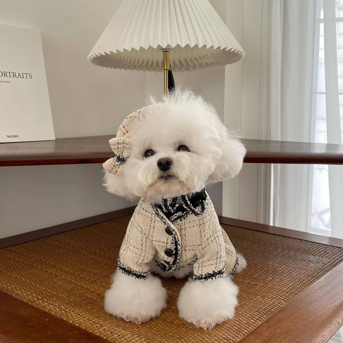プレゼント 犬服