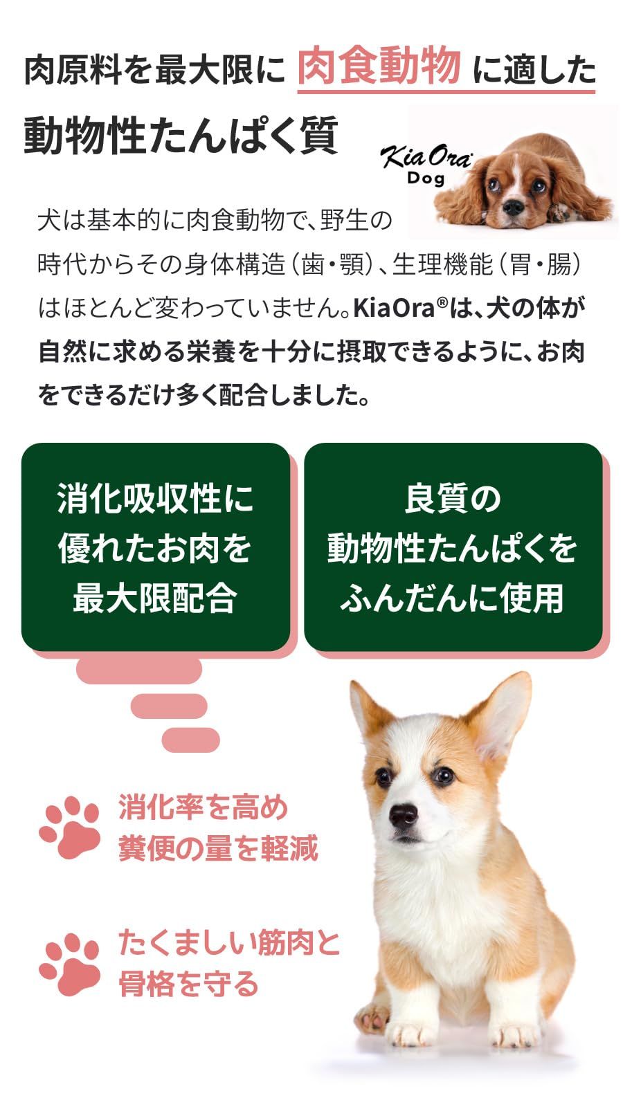 ドッグフード ラム＆サーモン