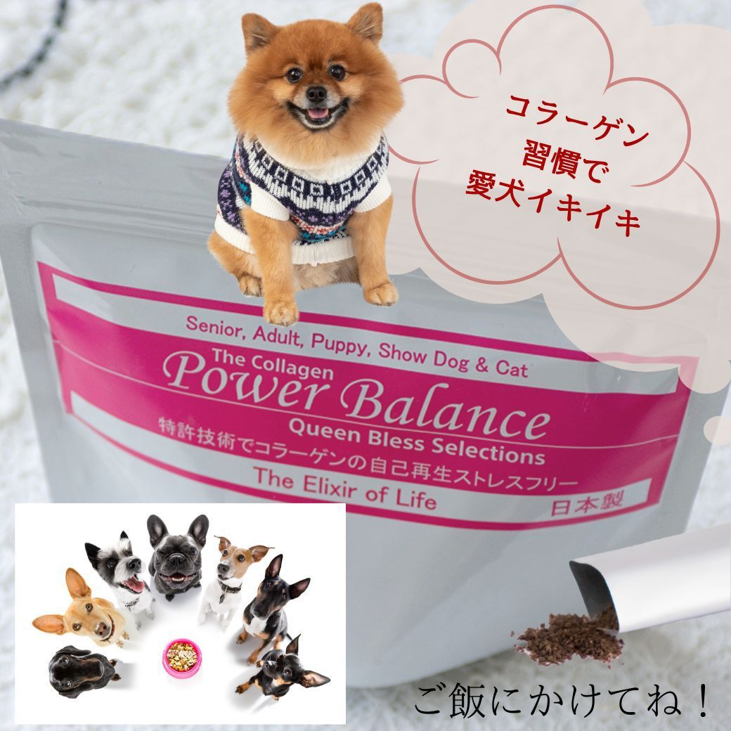 犬用品 コラーゲン パワーバランス(顆粒) 30本入り 犬 サプリメント 関節 犬用品 コラーゲン パワーバランス(顆粒) 30本入り 犬 サプリメント