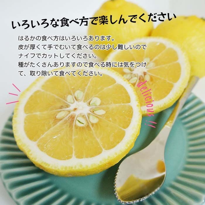 健ちゃんファームの訳ありはるか4.5kg 広島県産 樹上完熟 産地直送 S〜2L