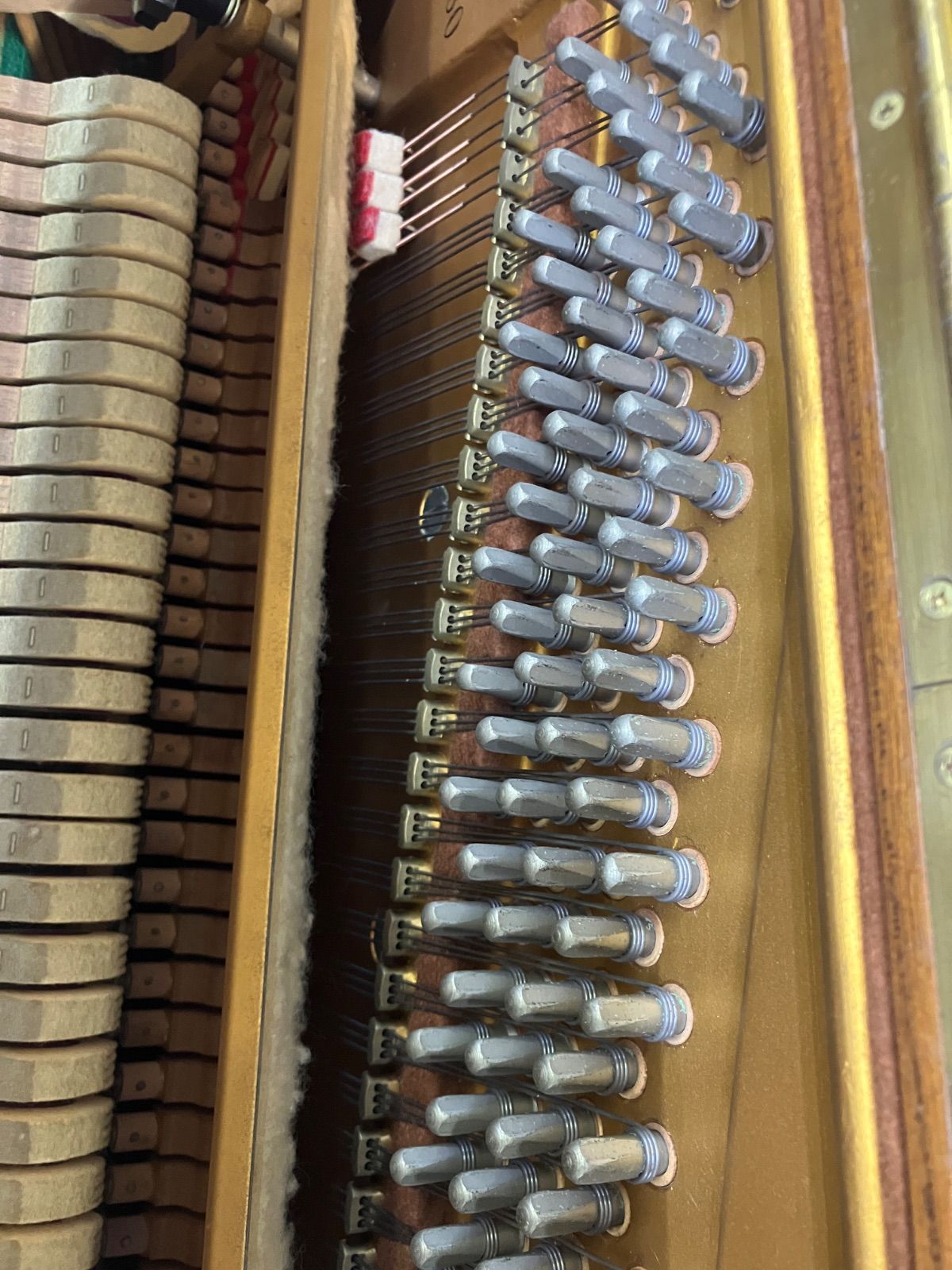 アメリカンチーク 艶消し