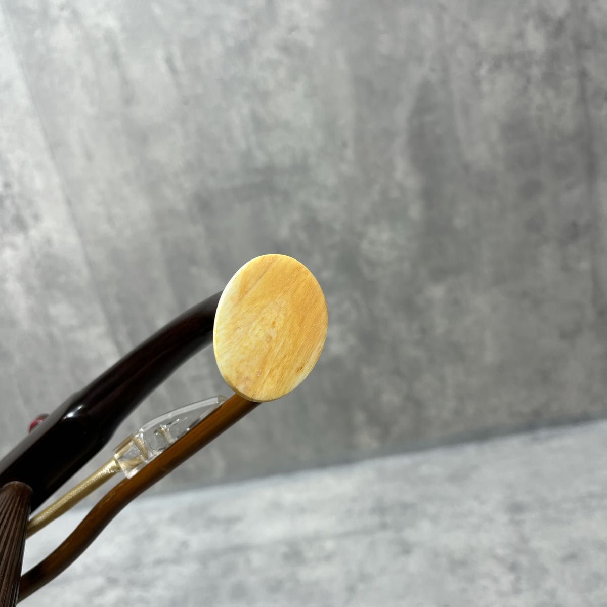 二胡 彩雲 蛇皮 ER-400 琴弦 セミハードケース付 弦楽器 新作入荷