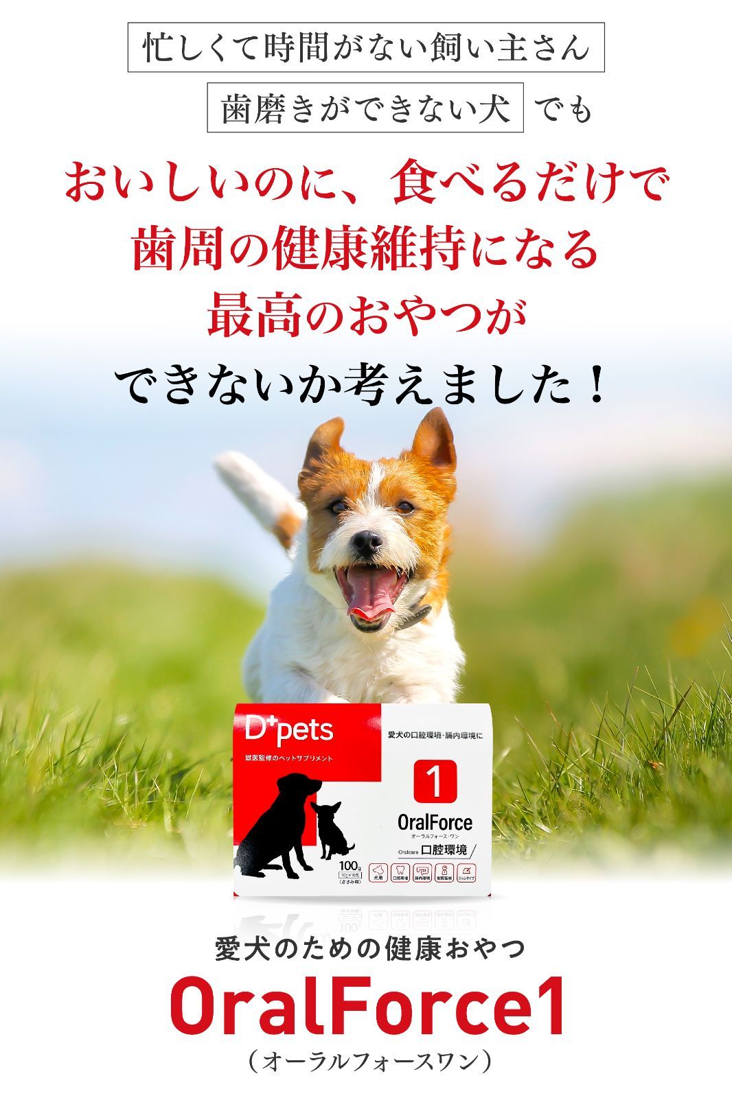犬用品 OralForce+ オーラルフォースワン ささみ味 100g 2箱