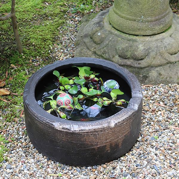 信楽焼 陶器 水鉢 メダカ鉢 金魚鉢 睡蓮鉢 焦げ窯肌切立水鉢 su-0260