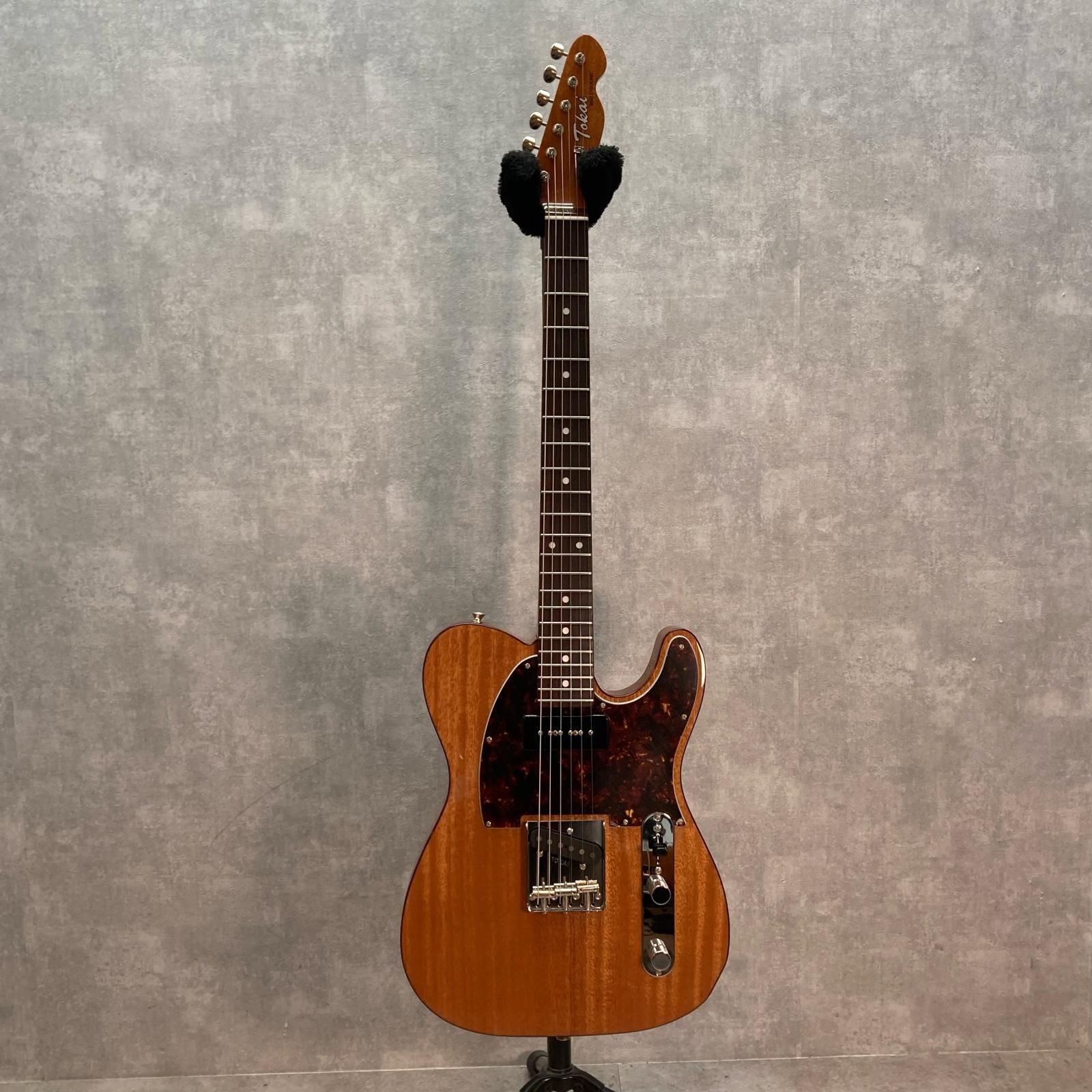 中古　ポリポット　TOKAI 楽天市場】10000個 TOエコポリポット 13.5cm 黒 丸型タイプ TOKAI 育苗