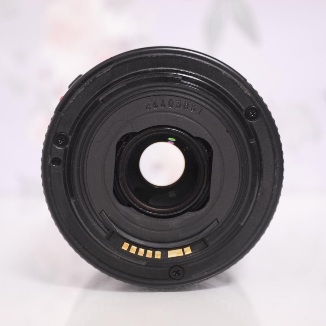 6D