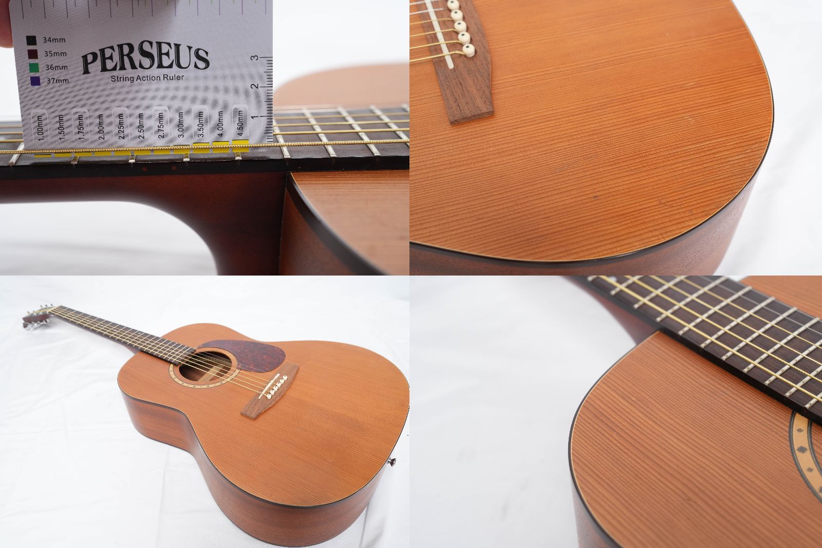 Simon＆Patrick サイモン＆パトリック LUTHIER S＆P 6 