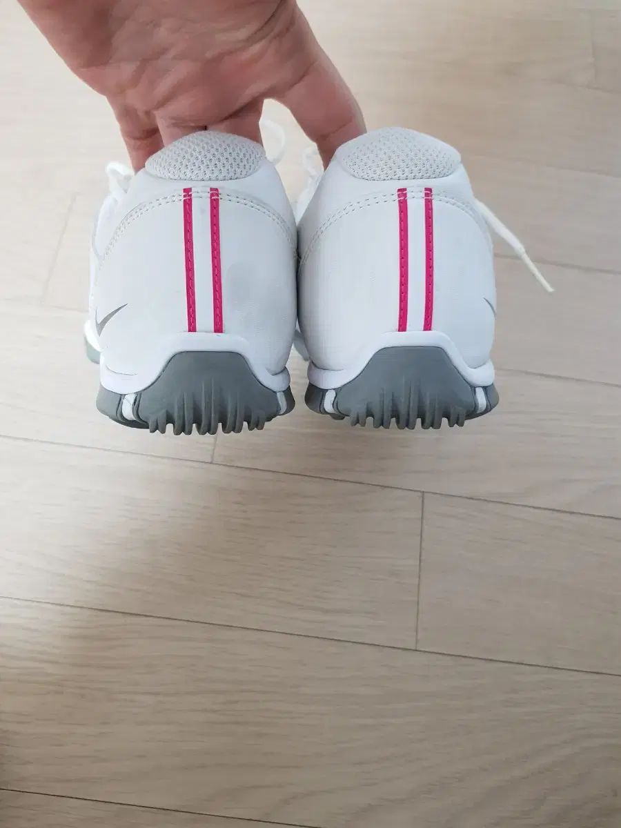 届きました
