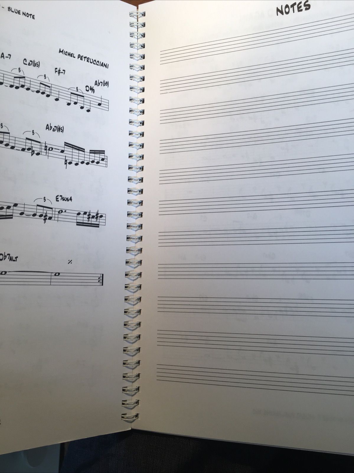 レア ペトルチアーニ ソングブック - メルカリ