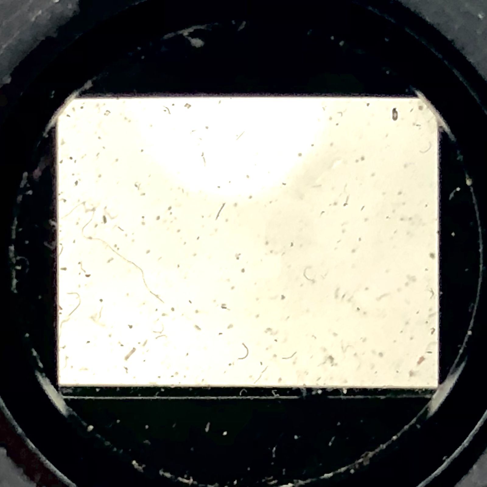 ケース付き PF-292