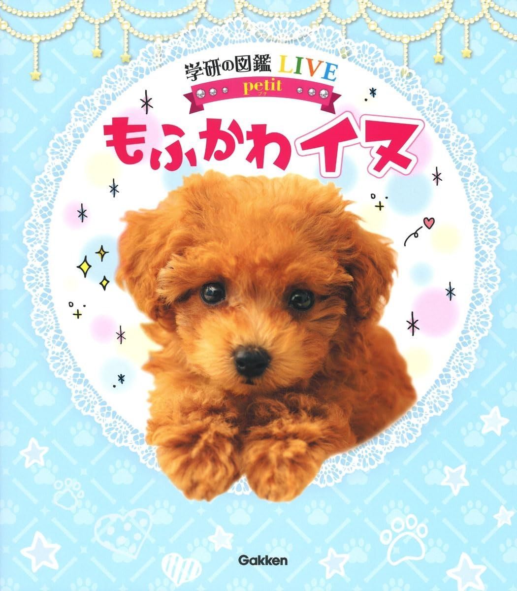 プレNEO NEOプラス 図鑑 13冊 セット プレNEO NEOプラス 図鑑 13冊 セット プレNEO NEOプラス 図鑑 13冊