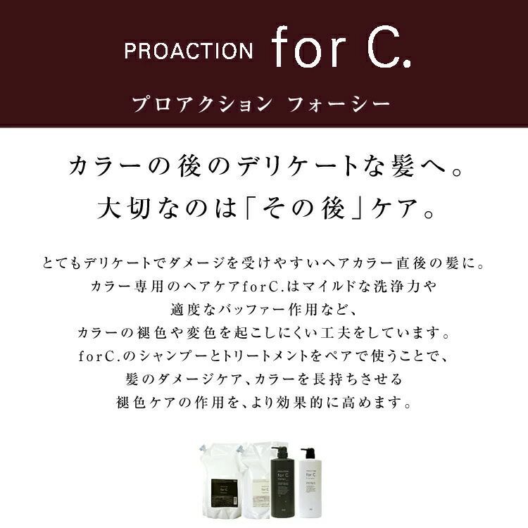 ナンバースリー プロアクション フォーシー シャンプー 3000ml トリートメント 3000g セット forC 詰め替え用 業務用 美容室 美容院 サロン専売 美容院
