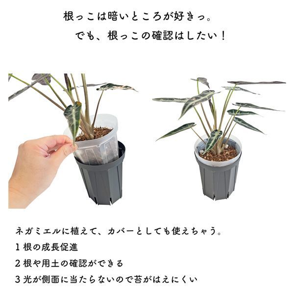 黒スリット鉢 5号ロング 9鉢セット CSM-150L 兼弥産業 ブラック