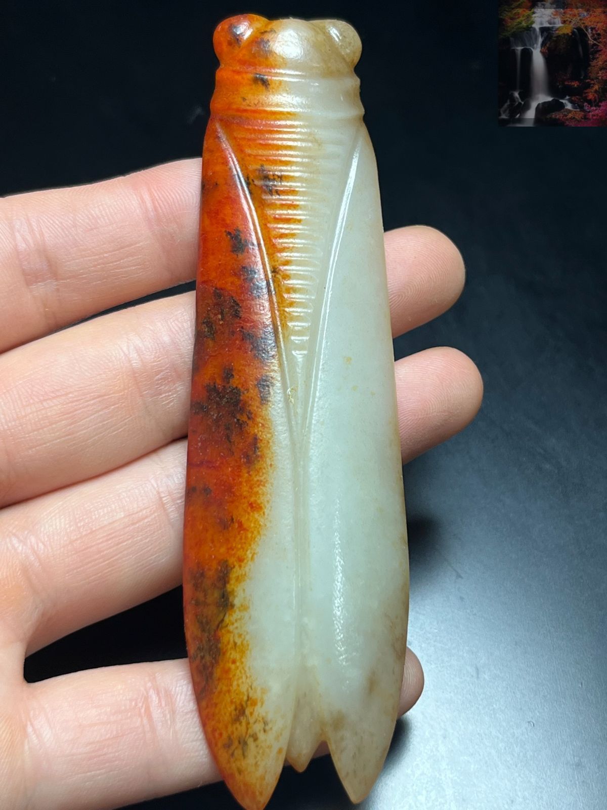 旧家蔵出し 和田玉細密彫 羊脂白玉 沁色自然 せみ 一鳴驚人 彫刻